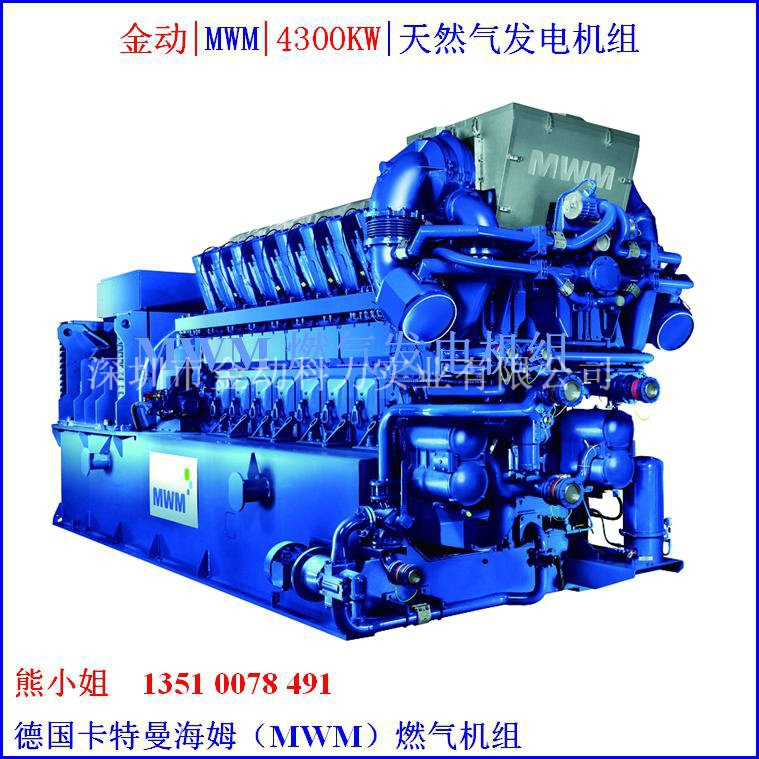 【供應沼氣發電機組】積極推進沼氣發電技術應用